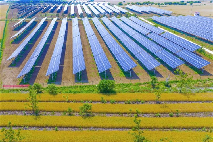 Çin'de bu yıl temiz enerjiye yatırım 100 milyar yuanı geçti