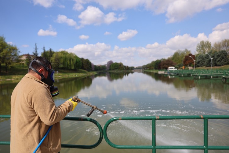 Eskişehir'de haşerelere karşı ilaçlama çalışması başladı