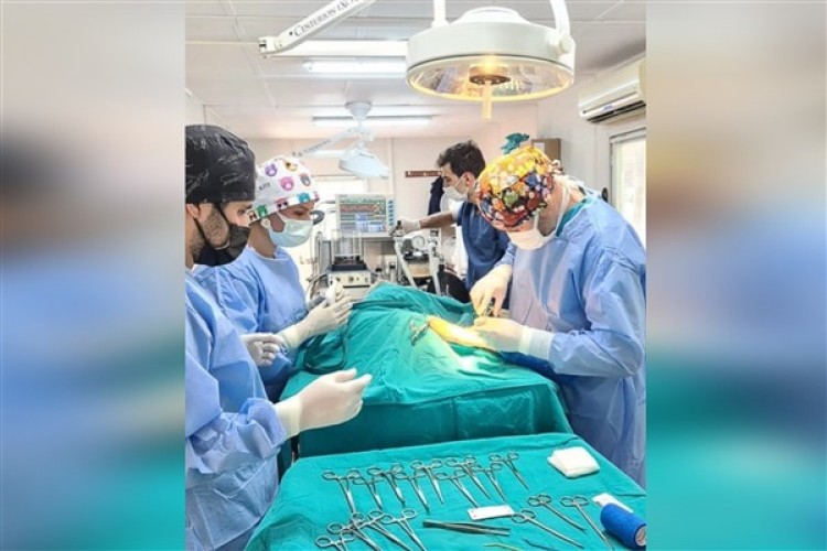 Osmangazi'de 6 ayda 2 bin 170 kedi ve köpek kısırlaştırıldı