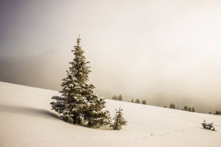 Meteoroloji'den çığ uyarısı