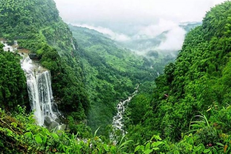 Çin, 2023'te 8,33 milyon hektarlık alanı ağaçlandırdı