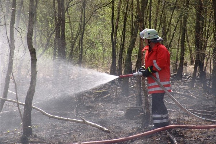 Bursa'daki orman yangını kontrol altına alındı
