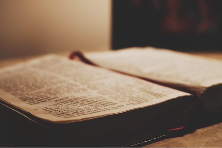 Bakan Işıkhan, şair ve yazar Özdenören'i andı