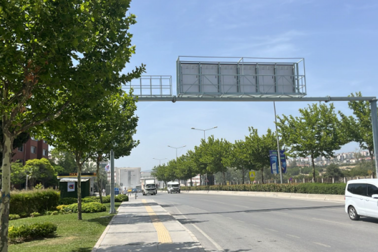 İzmir'de ağaçlar taşınarak koruma altına alınacak