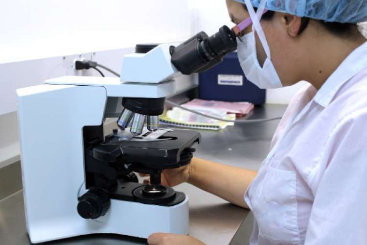 Ghebreyesus'dan Uluslararası Bilimde Kadınlar ve Kız Çocukları Günü mesajı