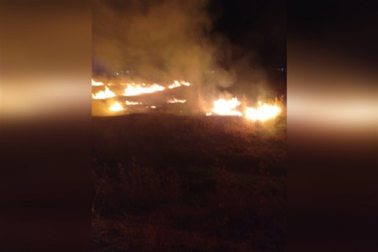 Şanlıurfa'da otluk alanda çıkan yangın söndürüldü