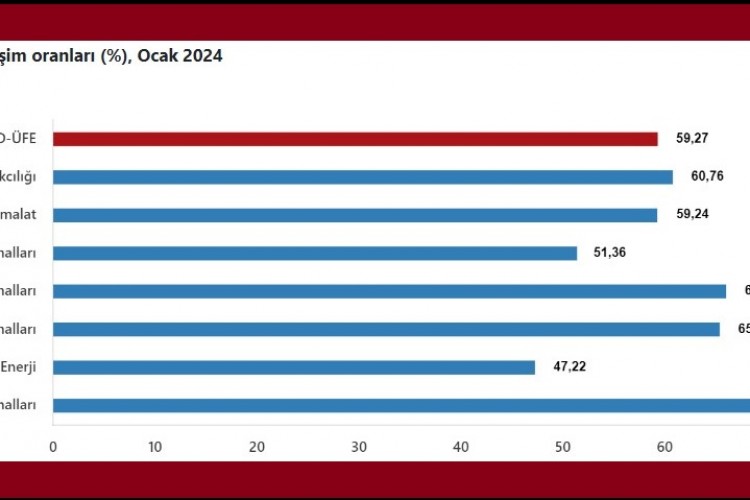 TÜİK-Yurt dışı üretici fiyatları Ocak'ta yıllık yüzde 59,27 arttı