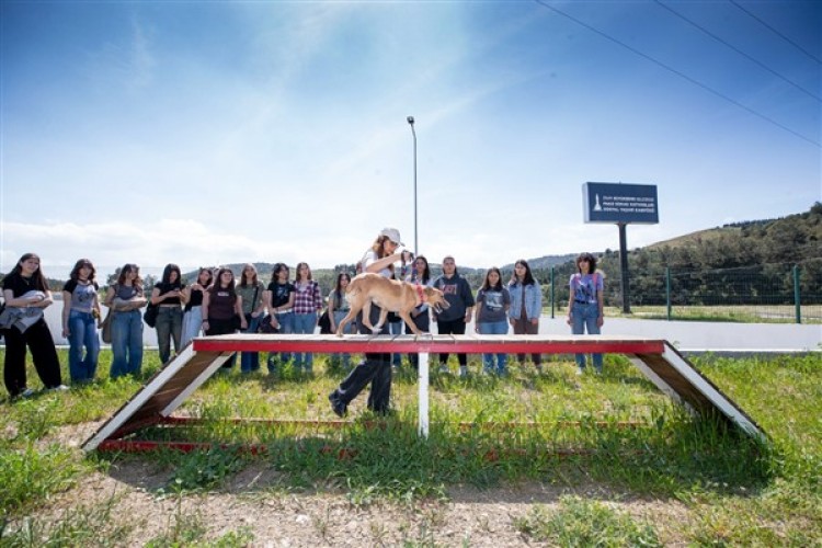 İzmir Büyükşehir Belediyesi, 4 Nisan Dünya Sokak Hayvanları Günü'nü PAKO'da kutladı