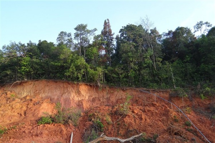 Bakan Işıkhan'dan Erzincan'daki heyelanda hayatını kaybeden işçiler için taziye mesajı