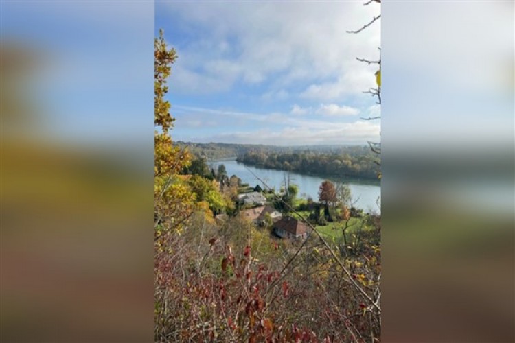 Fransız köyü kamusal alanlarda cep telefonunun kısıtlanmasına onay verdi