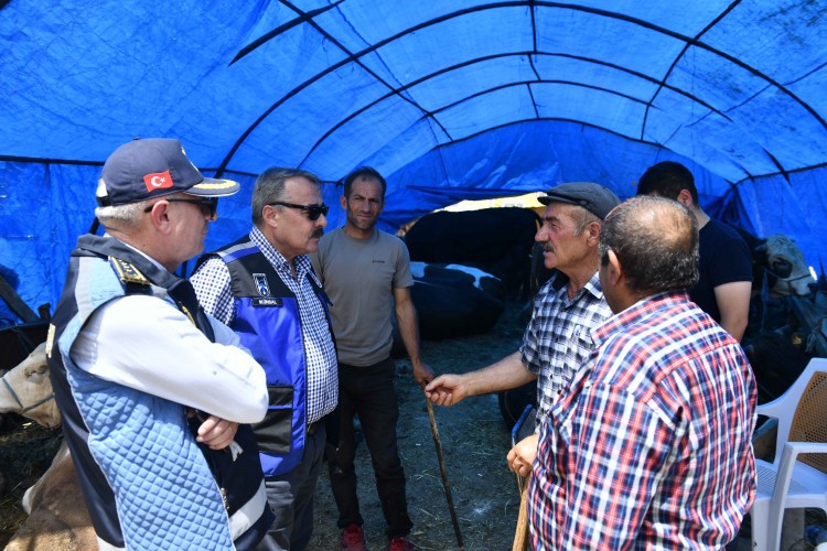 Ankara Büyükşehir Belediyesi'nden kurban satış noktalarına denetim