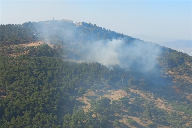 İzmir'deki yangın kontrol altına alındı