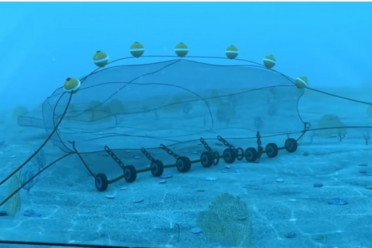 Yunanistan deniz parklarında dip trolünü yasaklayan ilk Avrupa ülkesi oldu