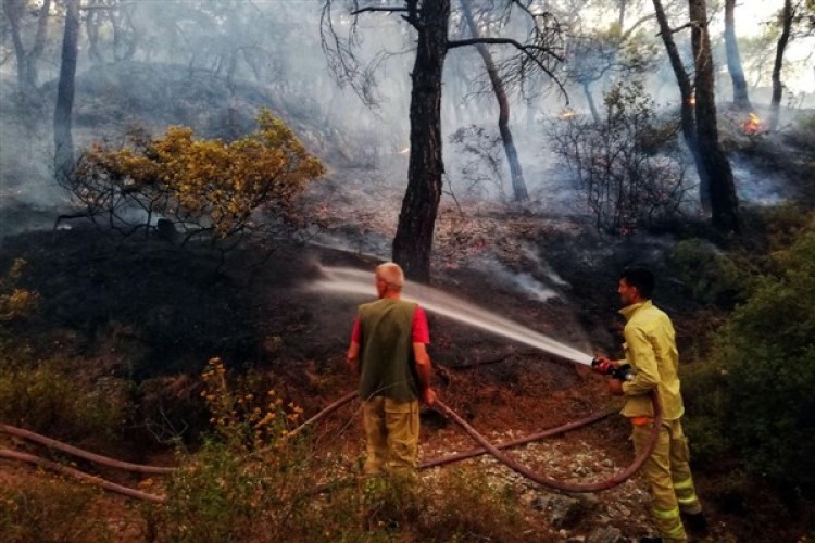 İzmir'de çıkan 355 yangından 325'i başlangıç aşamasındayken söndürüldü