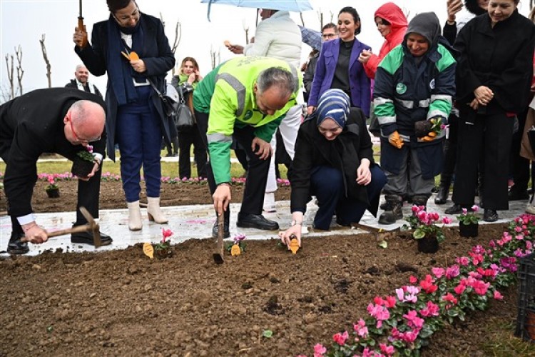 Bursa'da erguvan fidanları toprakla buluştu