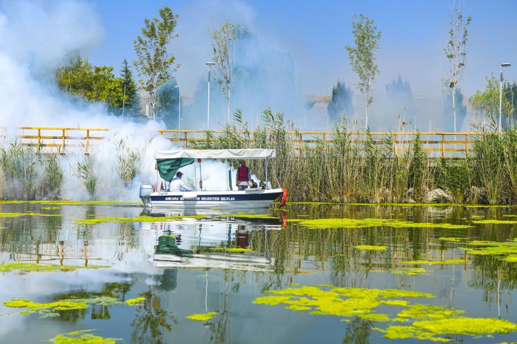 Ankara'da vektörlerle mücadele çalışmaları devam ediyor