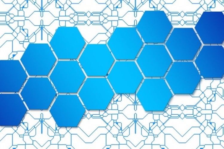 Verusa Holding'ten Vertu pay alımı