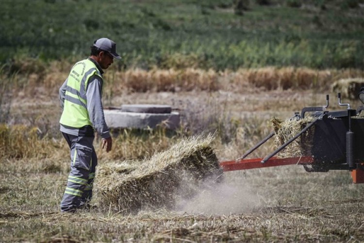 BAKAP'ta 2024 yılının ilk hasadı yapıldı
