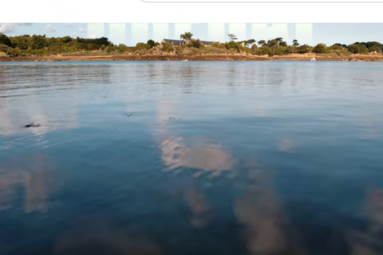 Kuzey Fransa açıklarındaki bir ada aşırı turizmle mücadele için kota uyguluyor