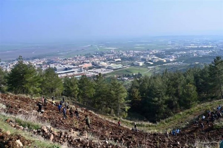 Hatay'da MKÜ 6 Şubat Deprem Şehitleri Hatıra Ormanı oluşturuldu