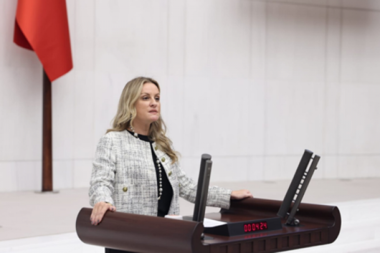 DEVA Partili Ösen: Sokak hayvanları sorununun mimarı hükümettir