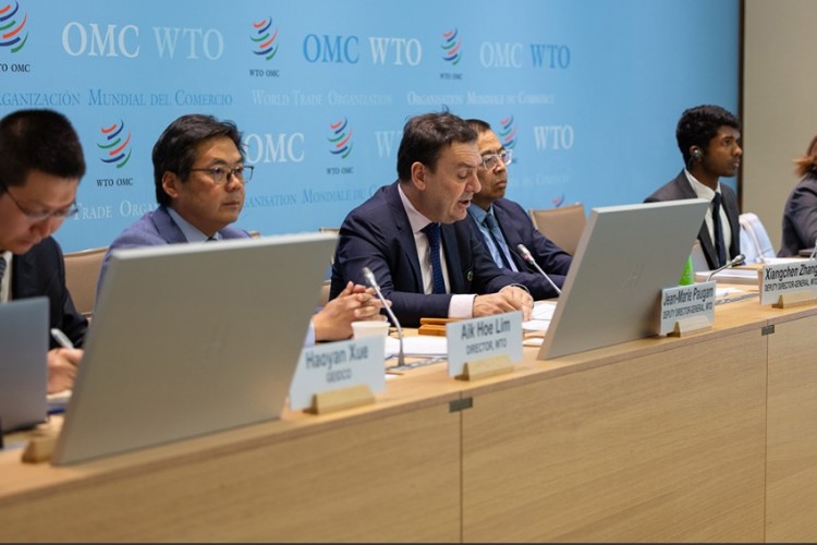 DTÖ temiz enerjiye geçiş için kapsayıcı ticarete dikkat çekiyor