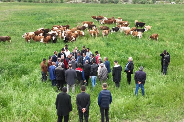 Kayseri'de 600 dekar araziye tekrar mera vasfı kazandırıldı