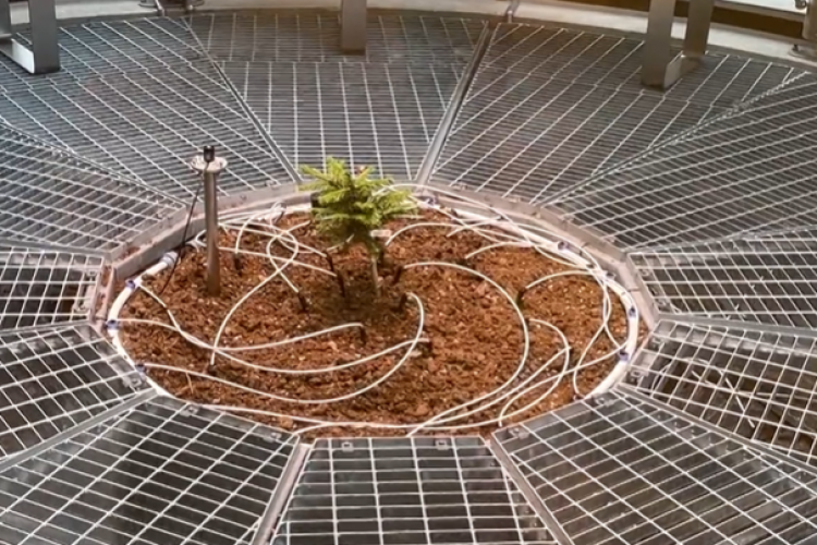 İsveç Skåne bölgesinde yeni sağlık binalarında kamusal sanata 8,7 milyon dolar yatırım