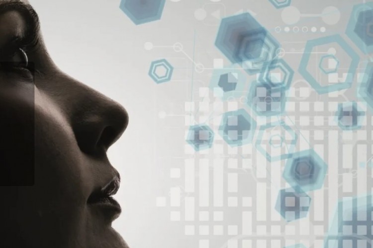 Dijital ekonominin büyümesi OECD genelinde genel büyümeden daha iyi performans gösteriyor