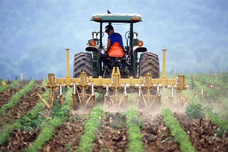 TÜİK-Tarım ürünleri üretici fiyatları Mart'ta yıllık yüzde 61,87 yükseldi
