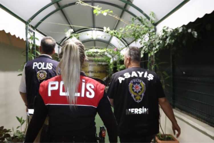 Mersin'de 151 konaklama tesisi denetlendi