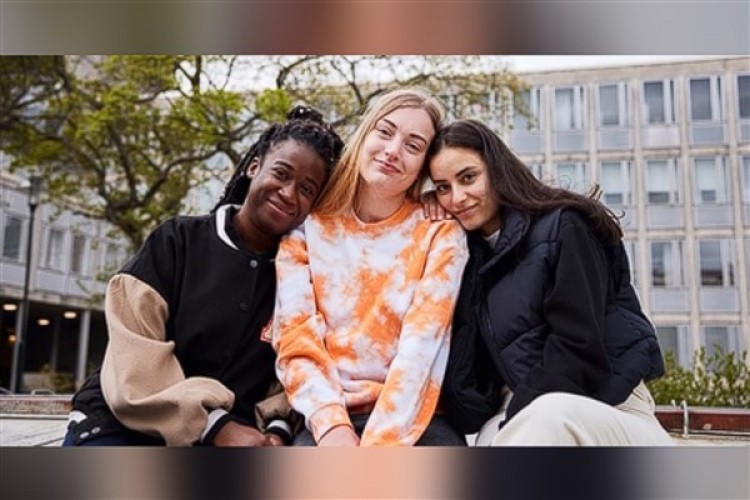 İsveç'te Ulusal Halk Sağlığı Araştırması anketi düzenleniyor