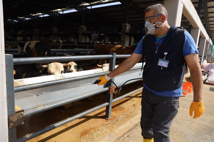 Bursa Büyükşehir'in kurban pazarlarında ilaçlama çalışmalarını sürdürüyor