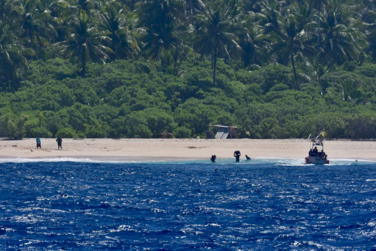 Issız adadan bir hafta sonra kurtarıldılar