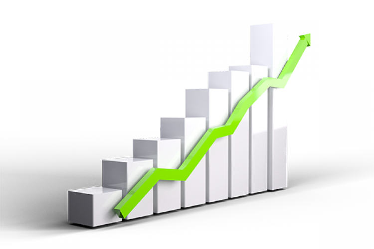 DMR Unlu Mamuller'den pay geri alımı