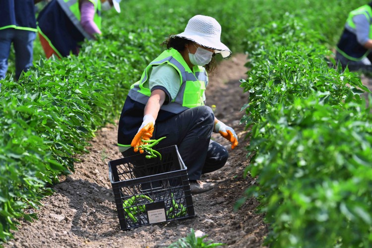 Ankara Büyükşehir'den personel çalışma şartlarına düzenleme