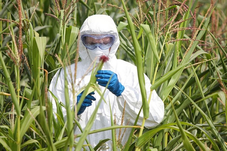 Gıda arz güvenliğinde güçlü altyapı oluşturulacak