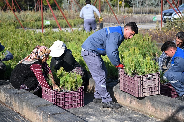 Milli Ağaçlandırma Günü için hedef 15 milyon fidanın sahiplenilmesi
