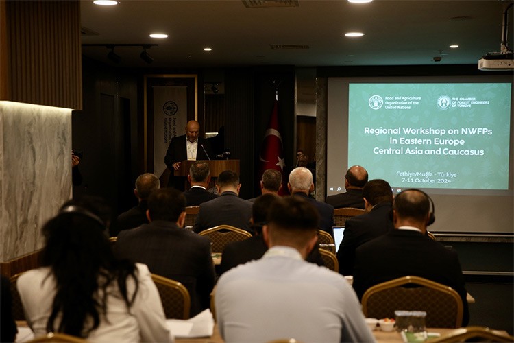 Uluslararası Odun Dışı Orman Ürünleri Çalıştayı başladı