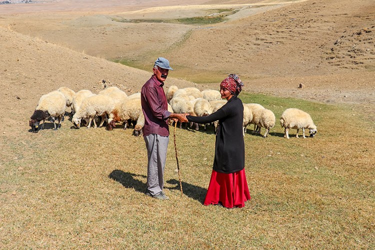 Hayvancılığa başlayan engellilerden aile bütçesine katkı