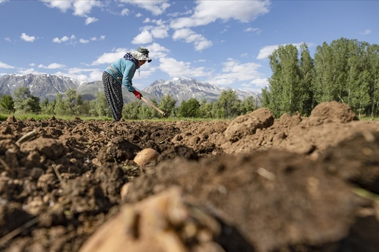 Çiftçilere yaklaşık 5 milyar 93 milyon liralık tarımsal destekleme ödemesine başlandı