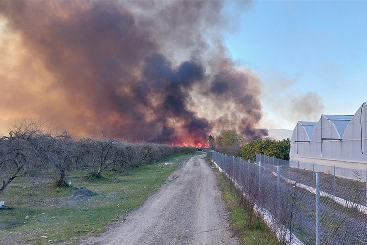 Köyceğiz Gölü'nün sazlık alanında yangın başladı