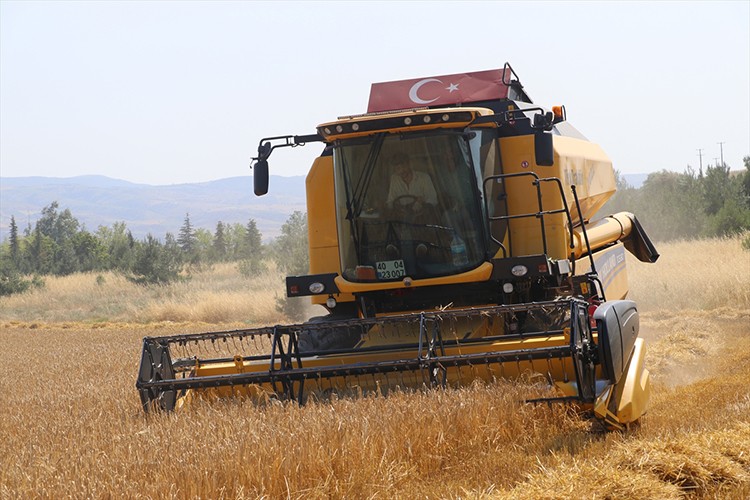 Yağışlar buğday ve arpa rekoltesini artırdı