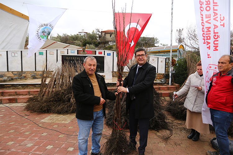 Kavaklıdere'de Cennet Elması Fidanı Dağıtımı