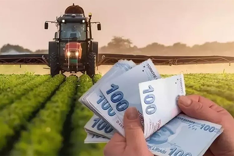 Tarımsal girdi fiyatları aylık yüzde 1,41, yıllık yüzde 32,92 arttı