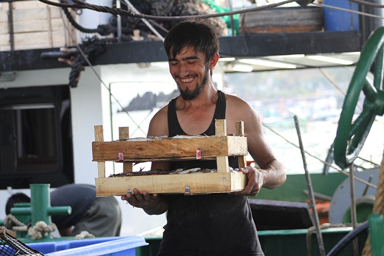 Yüzleri tekirle güldü