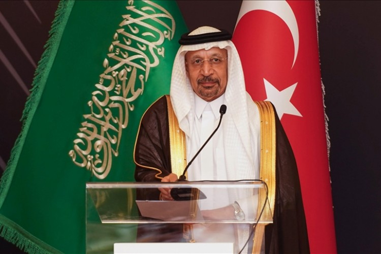 Ekonominin çeşitlendirilmesi