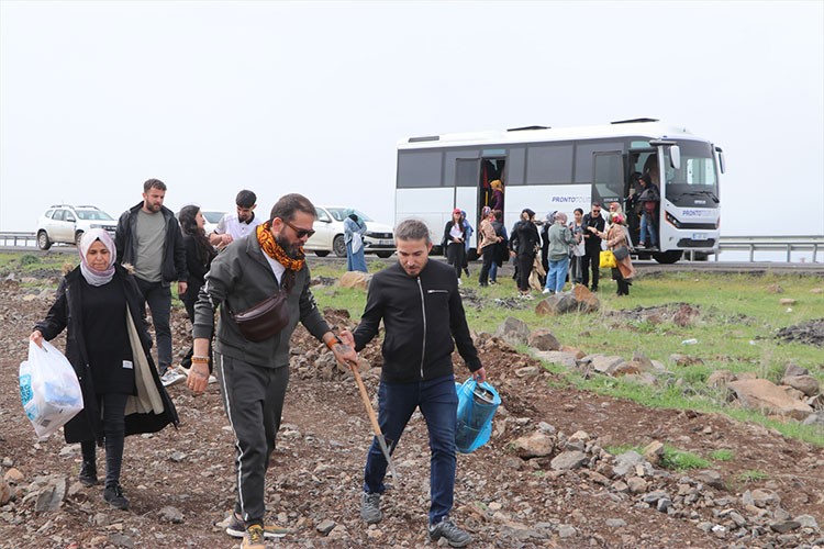 Doğadan topladıkları kenger ile ikramlık yemekler hazırlıyor