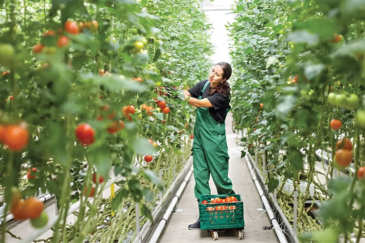  Enerji bağımsızlığının anahtarı jeotermalde