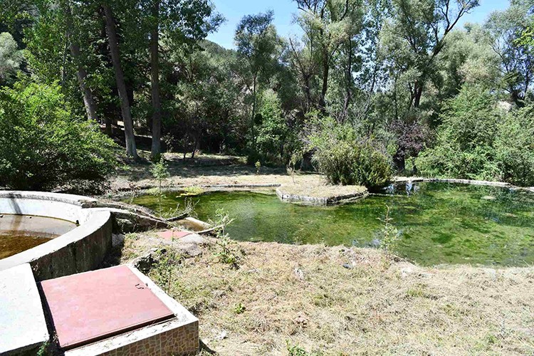 Mesire yaptırılacak